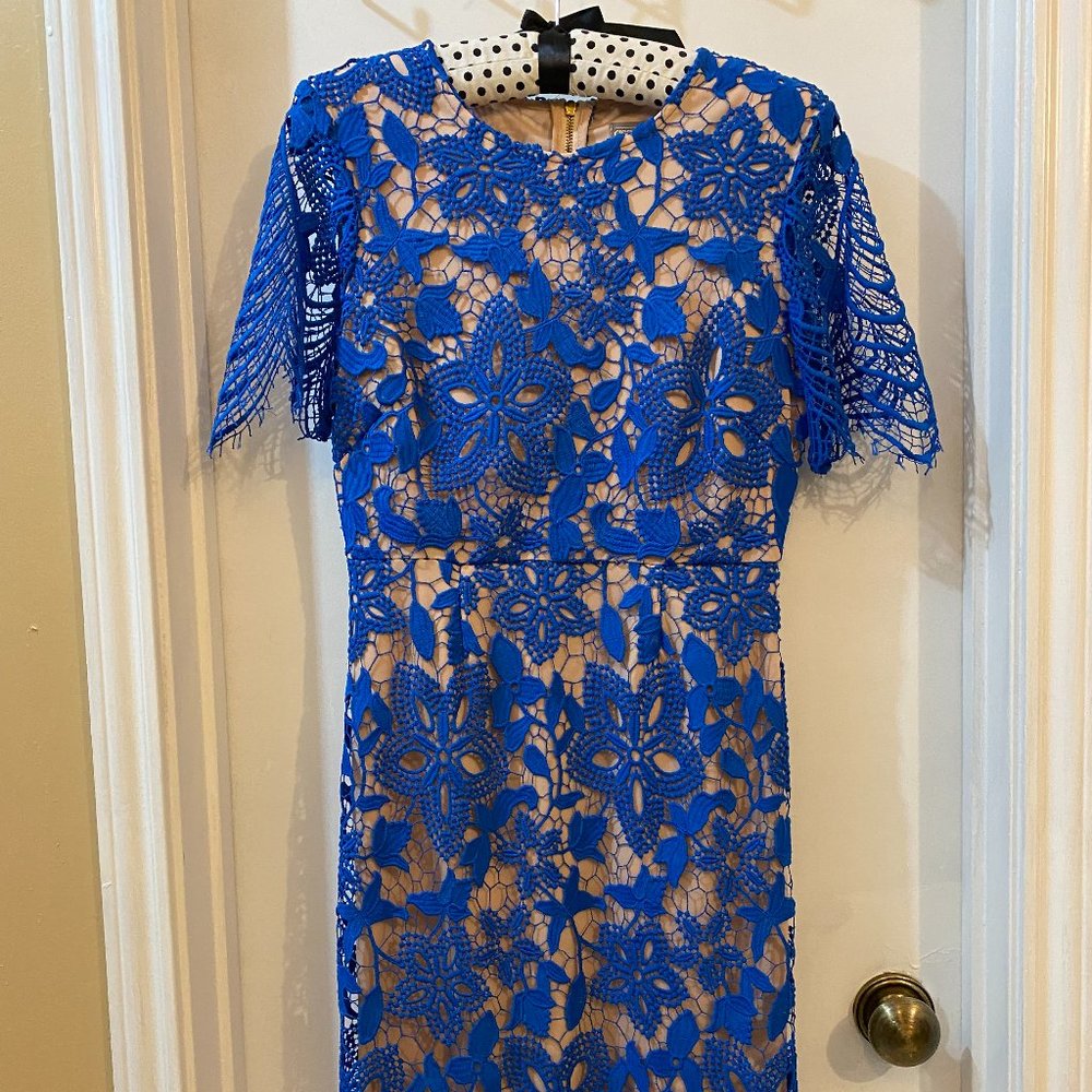 Blue Lace Grace